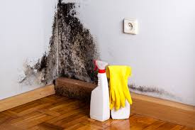 Best Mold Damage Restoration in Powell, AL